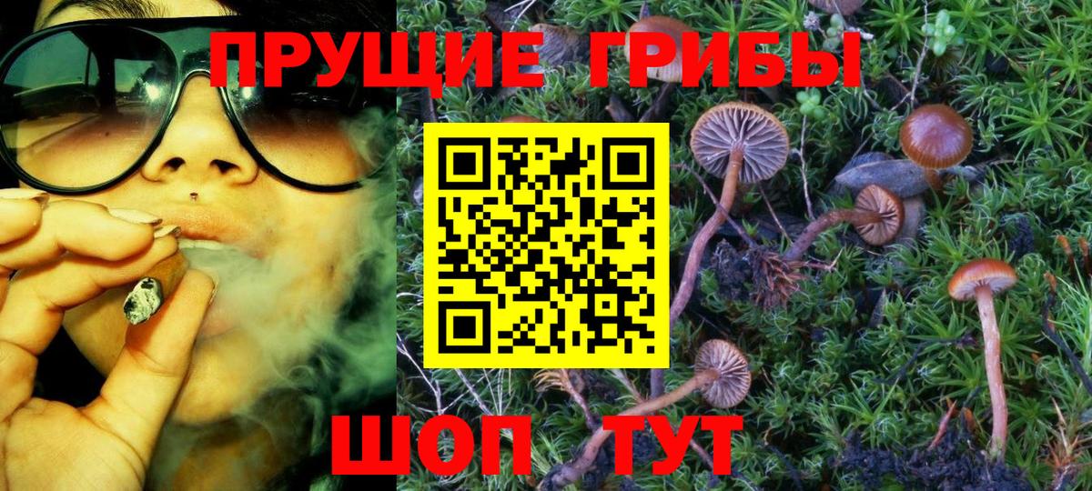 Гусиноозёрск  Галлюциногенные грибы мухоморы  Вход с VPN 